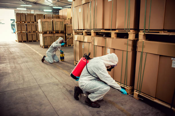 Best Affordable Pest Control Services  in Hayden, ID