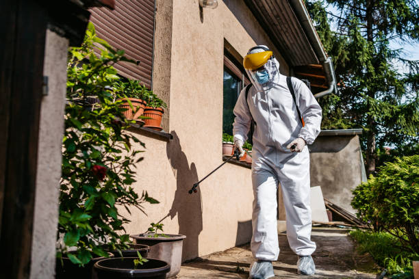 Best Best Pest Control Companies  in Hayden, ID