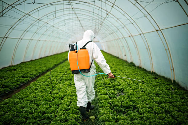 Best Local Pest Control Services  in Hayden, ID