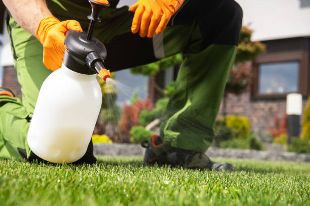 Best Pest Prevention Services  in Hayden, ID