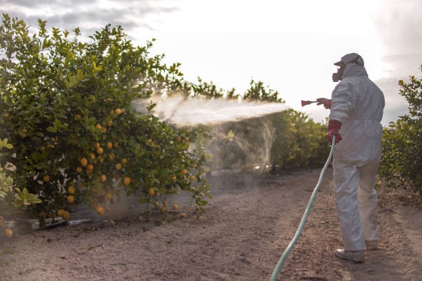 Best Mosquito Control Services  in Hayden, ID