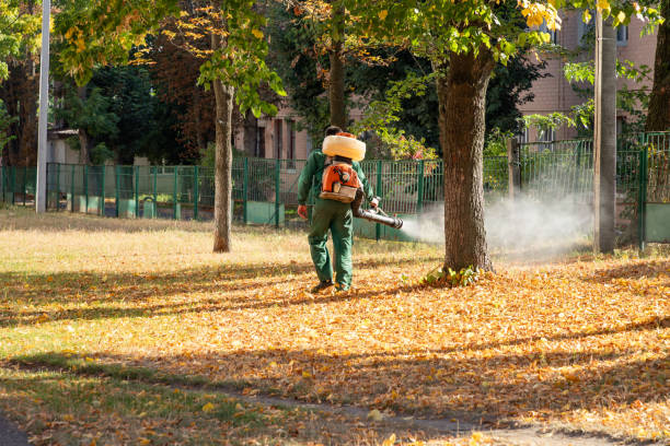 Best Wildlife Control Services  in Hayden, ID