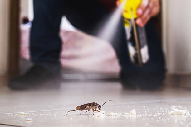 Best Residential Pest Control  in Hayden, ID